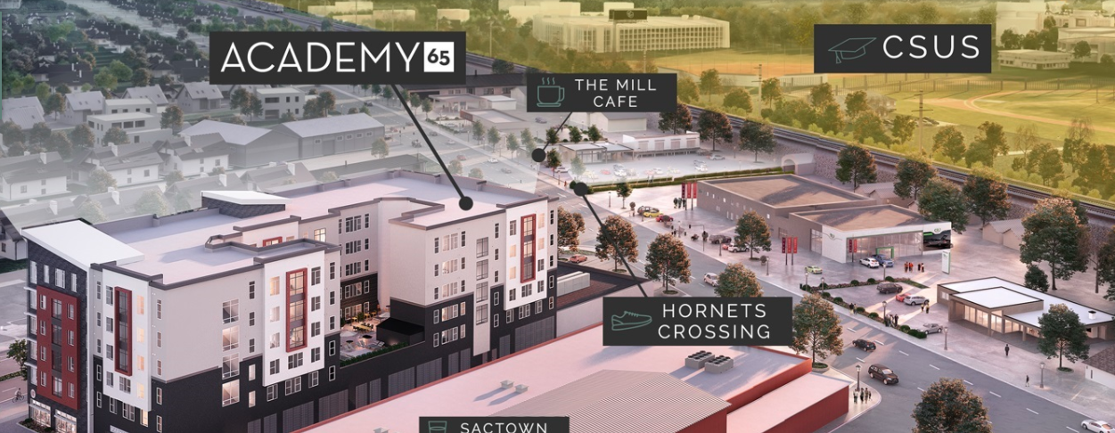 pull up dip station academy